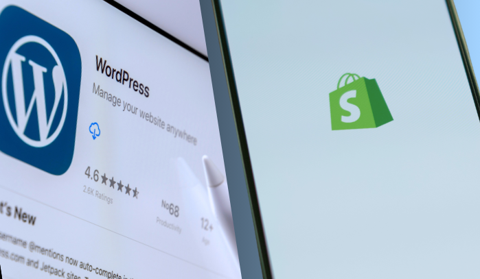 WordPress & Shopify Development